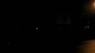 NJ Transit Flxible Bus 