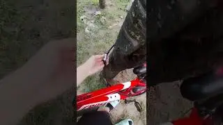 кателька там де лазять люди и ТД .