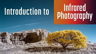 Introduction to Infrared Photography (2022)