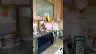 подборка наших видео