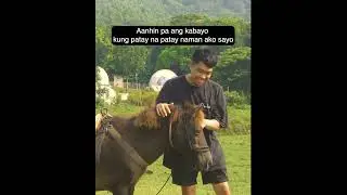 Ano papa?