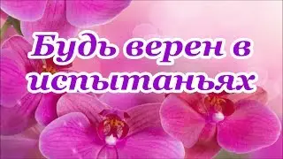 Будь верен в испытаньях