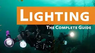 Why You NEED Lighting Underwater