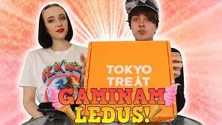 Japoniški Užkandžiai - Gaminam LEDUS! // 70K SPECIAL