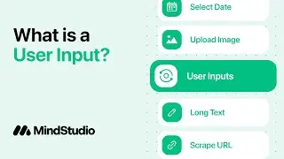 What is a User Input?