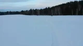 Артикет м6 в поле