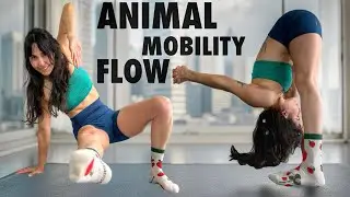 ANIMAL MOBILITY FLOW 🦍