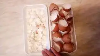 A convenient way to crush and store eggshells.