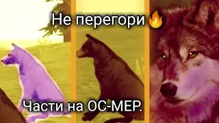 На Ос-Меп 