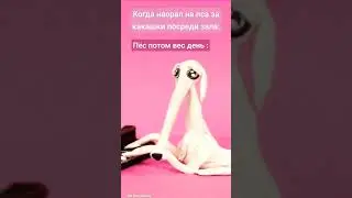 собаки умеют в жалость 😢  #memes #shorts
