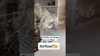 Change your air filter for cleaner air AT HOME