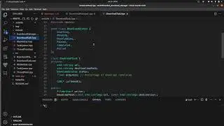 Multi-Threaded Download Manager | C++