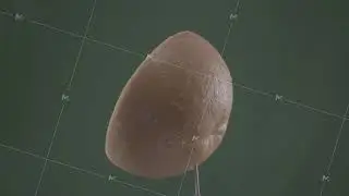 Grapefruit rotating with loop on green screen for chroma key