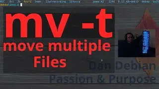 How to MOVE MULTIPLE FILES at ONCE in Linux-Terminal | mv -t