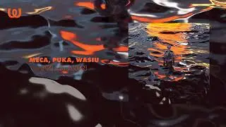 Meca, Puka, Wasiu - I'm an Alien