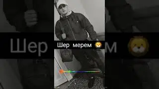 Шерони чахон 🦁🦁🦁