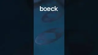 boeck tools on Loewer DiscMaster 2TD  