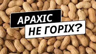 Що таке арахіс - цікаві факти про арахіс