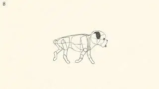 Real Animator Training-Quadruped varied Trot