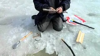 капкан на щуку с мопсом