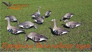 Обзор профилей белолобого гуся MoroZz hunt.