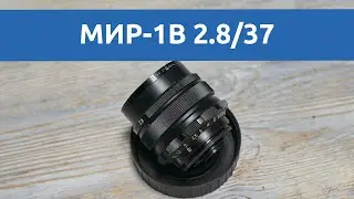 Тест объектива МИР-1В: Вологодское производство, винтаж и качество (Sony A7)