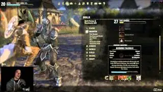 ESO Level 20 Dragon Knight Build (Dark Elf)