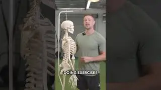 The Easiest Way To Understand Shoulder Pain & Fix It 