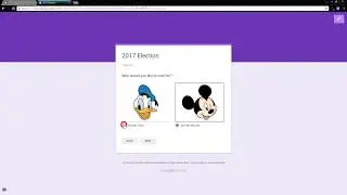 Google Forms User Response Contingent Sections