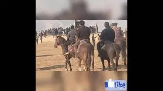 Буз Каши Дар Шахритус