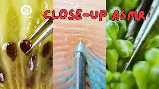 OBJECTS IN MACRO by Erion Media | Satisfying ASMR Macro Video