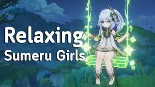 Chill and Relaxing with Sumeru Characters (Genshin Impact OST + Forest Ambience)