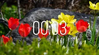 3 Second Timer with Music | Spring Timer🌹