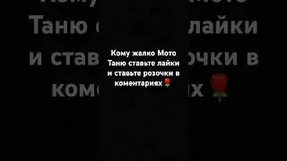 31 июля 2024 г.
