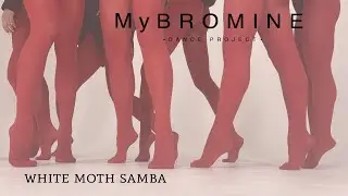 MyBROMINE - white moth samba
