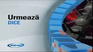 DICE spot Animax
