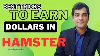 Hamster Kombat tricks to earn more Dollars, hamster kombat mining