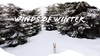 DJI Mavic Air 2 - Winds of Winter 2021