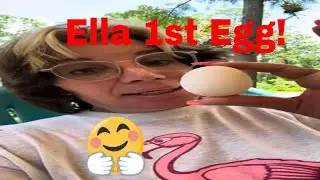 Ella's First Surprise: Rescued Hen Lays Her 1st Egg!