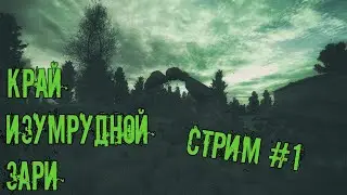 S.T.A.L.K.E.R Край изумрудной зари #1