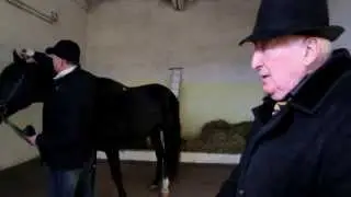 Сходство и различие карачаевской и кабардинской породы лошадей. Клыч-Герий Магометович Урусов.