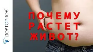 ПОЧЕМУ РАСТЕТ ЖИВОТ?