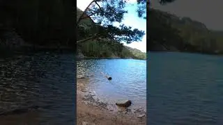 A glorious spring run to The Green Loch - Aviemore