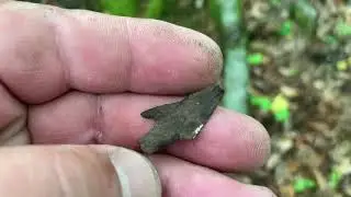 НАХОДКИ РАЗНЫХ ЭПОХ ФИЛЬМ ЧЕТВЁРТЫЙ