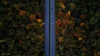 Endless autumn road. Stavropol. [4k video]
