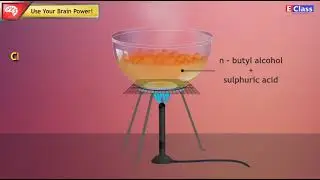 Standard 10, English, Science - 1, Ch 9, Important carbon compounds : Ethanol and Ethanoic Acid
