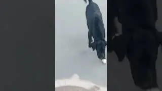 Nubinho vida mansa