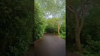 Realme GT 6 Video Stabilization Test