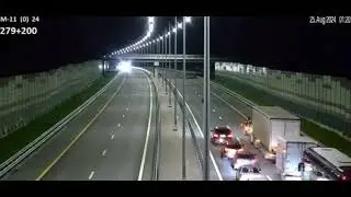 ⚡️Медвежонок выбежал на трассу М-11 в Тверской области и собрал пробку.