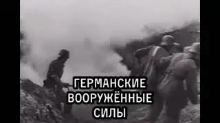 22 июня 1941 года гитлеровская Германия при поддержке коллективного Запада.